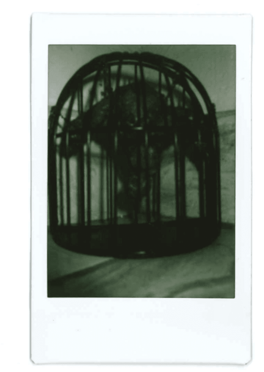image preview