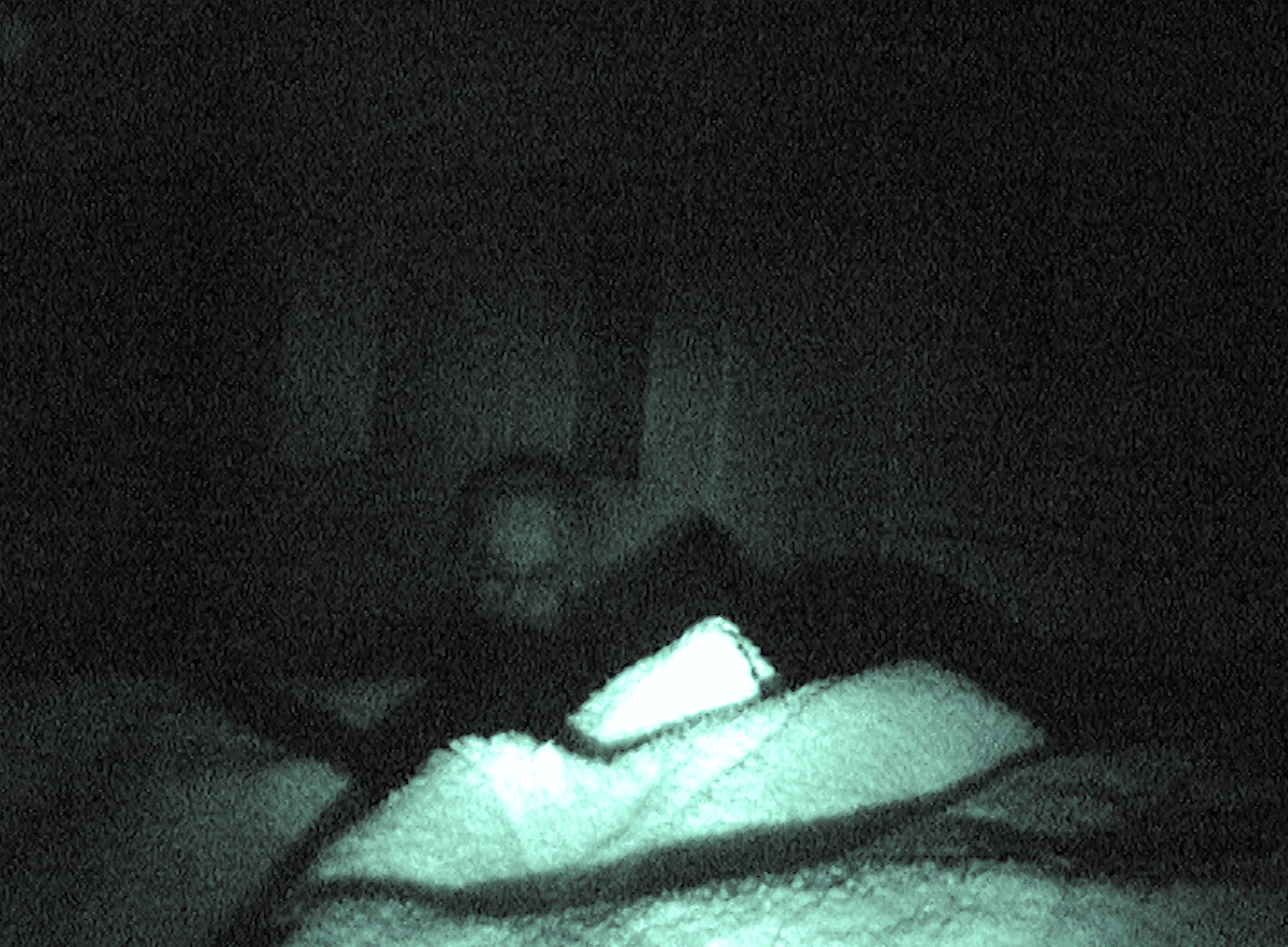 SLEEP WATCHING DEMON SLOWLY EATS GIRL